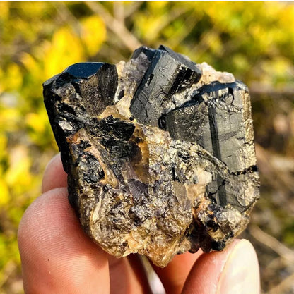 Natural black tourmaline quartz crystal mineral specimen