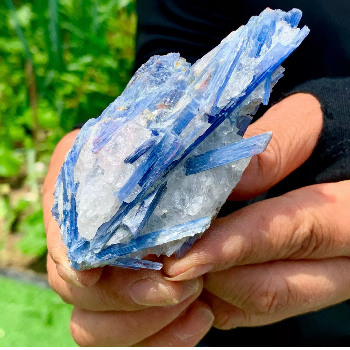 Natural Kyanite in Quartz free form