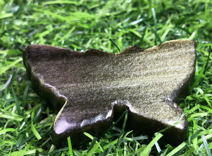 Natural Gold Obsidian Butterfly