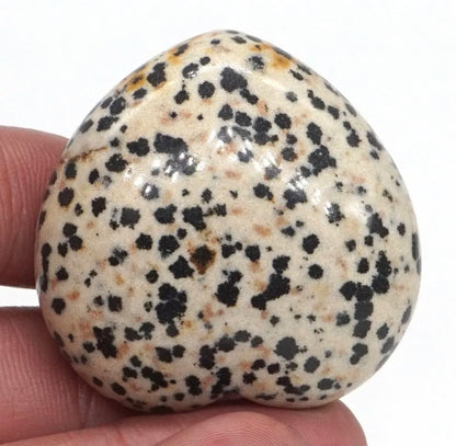 Natural Dalmatian Jasper