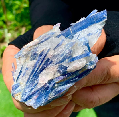 Natural Kyanite in Quartz free form