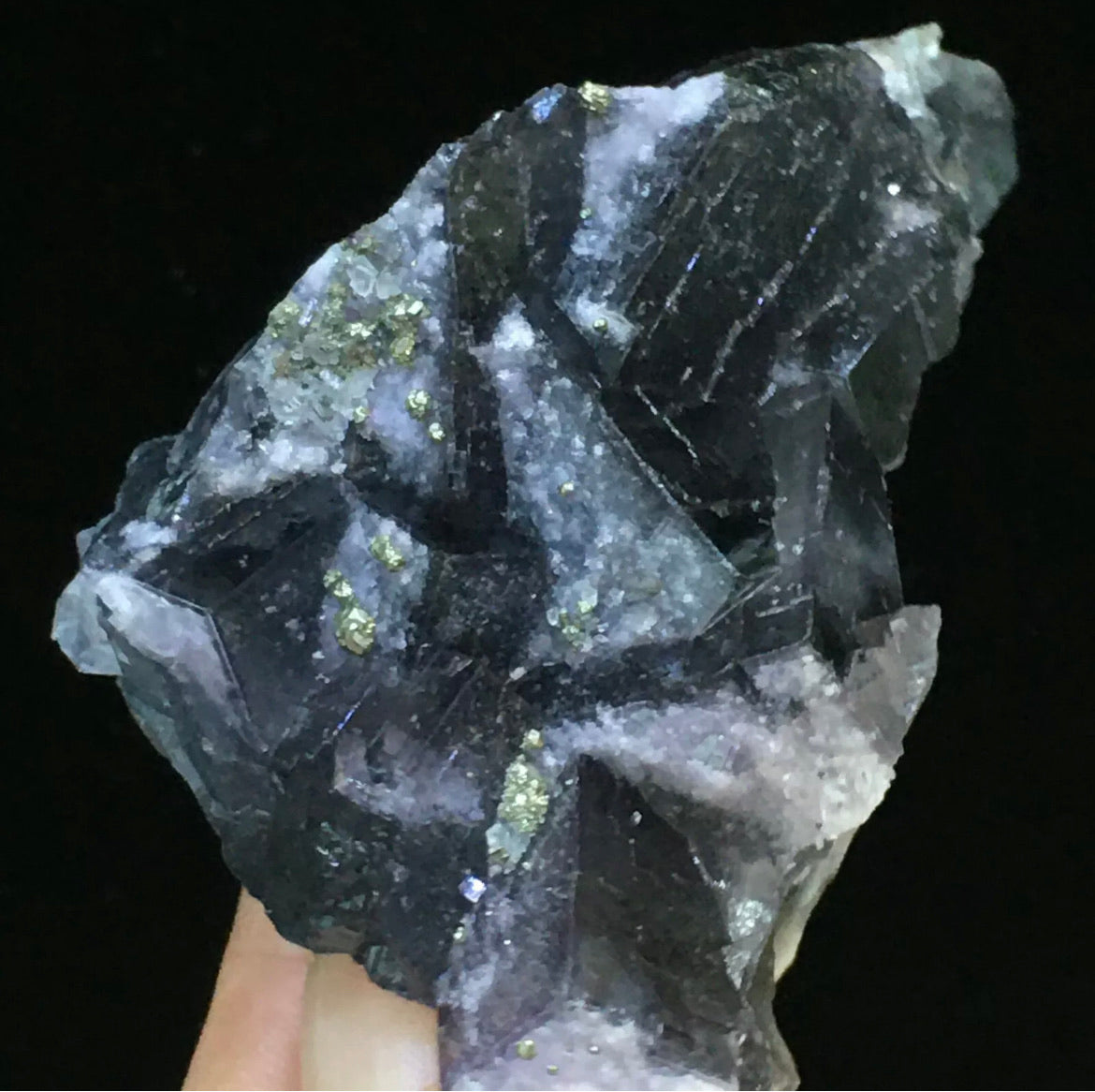 Natural Translucent Blue Trapezoidal Fluorite Pyrite Collectors Piece
