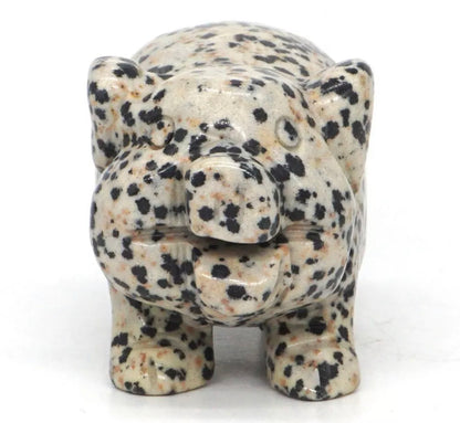 Natural Dalmatian Jasper Pig