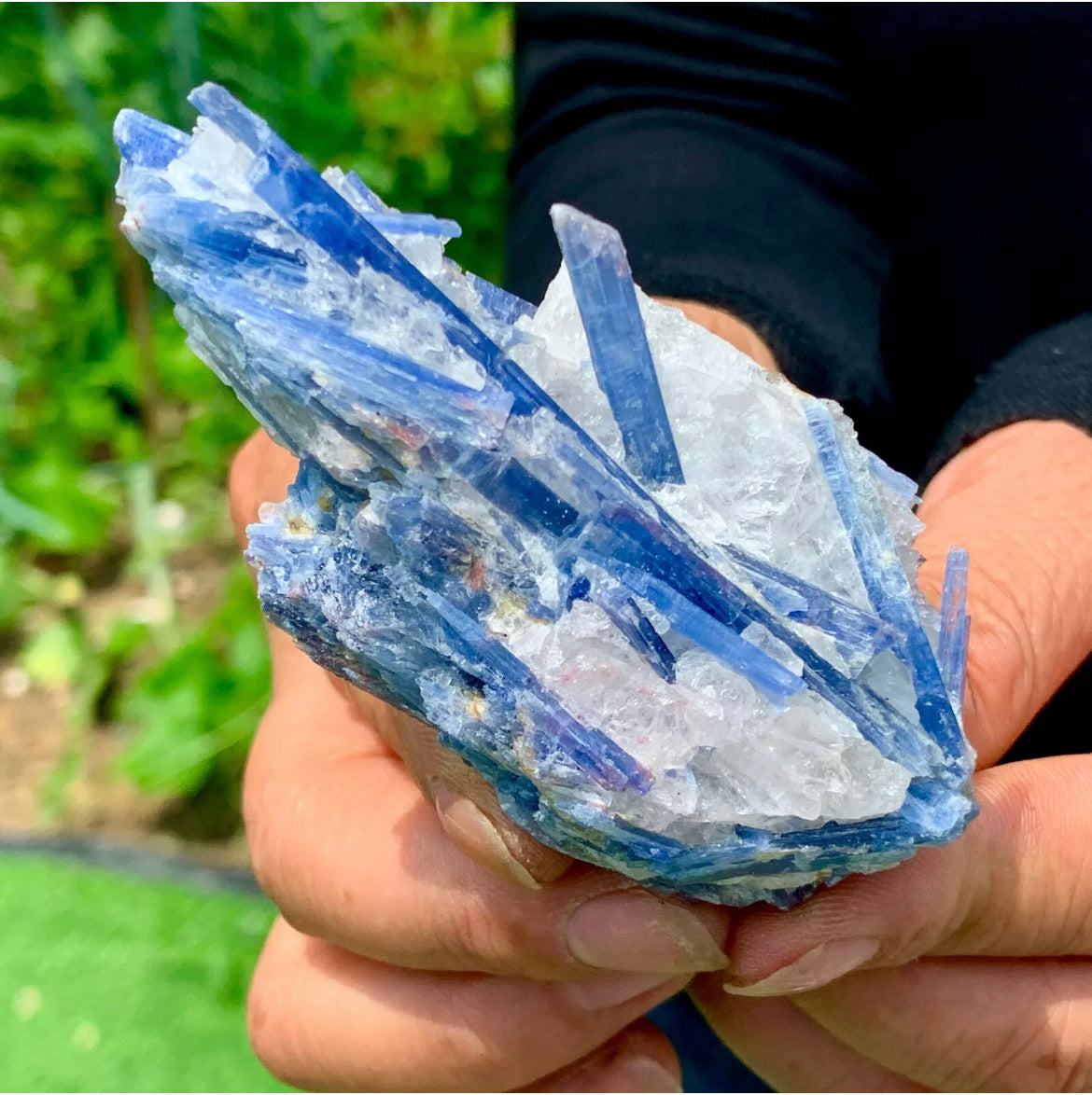 Natural Kyanite in Quartz free form