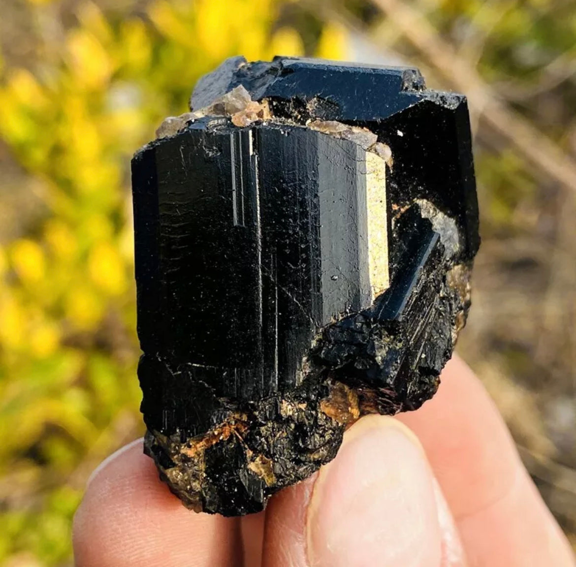 Natural black tourmaline quartz crystal mineral specimen