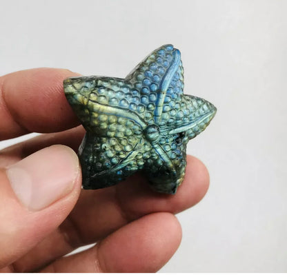 Natural Labradorite Starfish Crystal