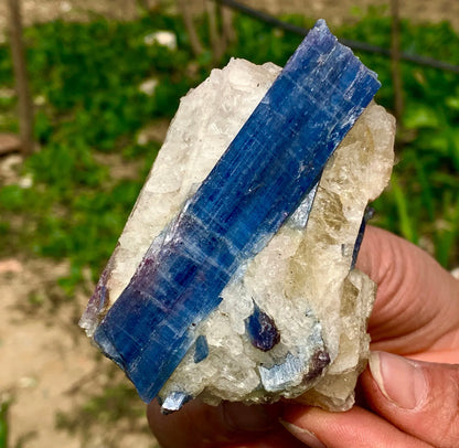 Natural Kyanite in Quartz