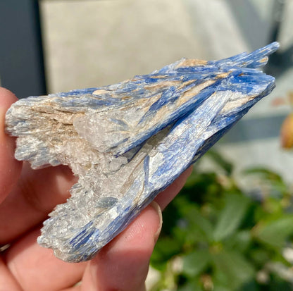 Natural Crystal Kyanite Rough Form