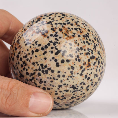 Natural Semiprecious gemstone Dalmatian Jasper crystal Ball sphere