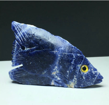 Natural Sodalite gemstone Tropical Fish