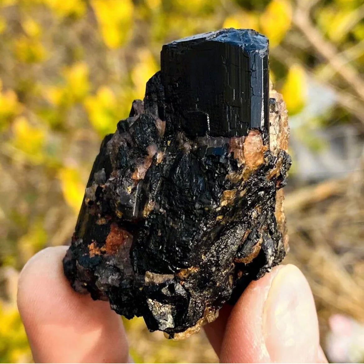 Natural black tourmaline quartz crystal mineral specimen