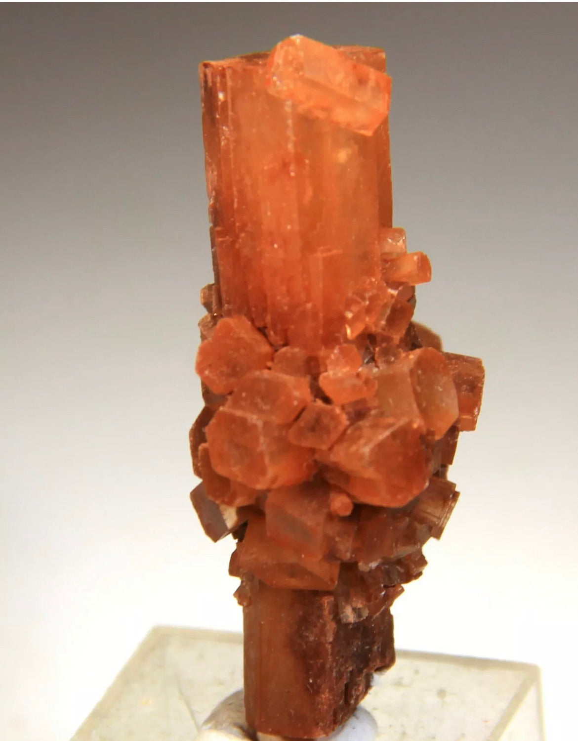 Natural Red aragonite  Cluster, from Morocco