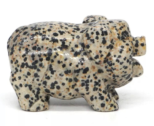 Natural Dalmatian Jasper Pig