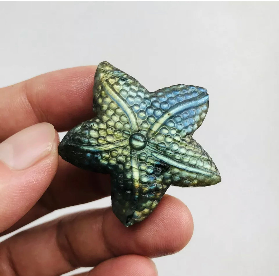 Natural Labradorite Starfish Crystal