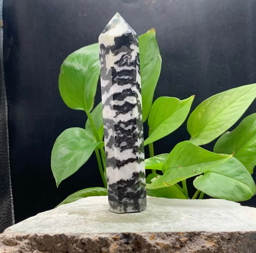 Natural Zebra Stone Rough crystal quartz wand piont obelisk healing