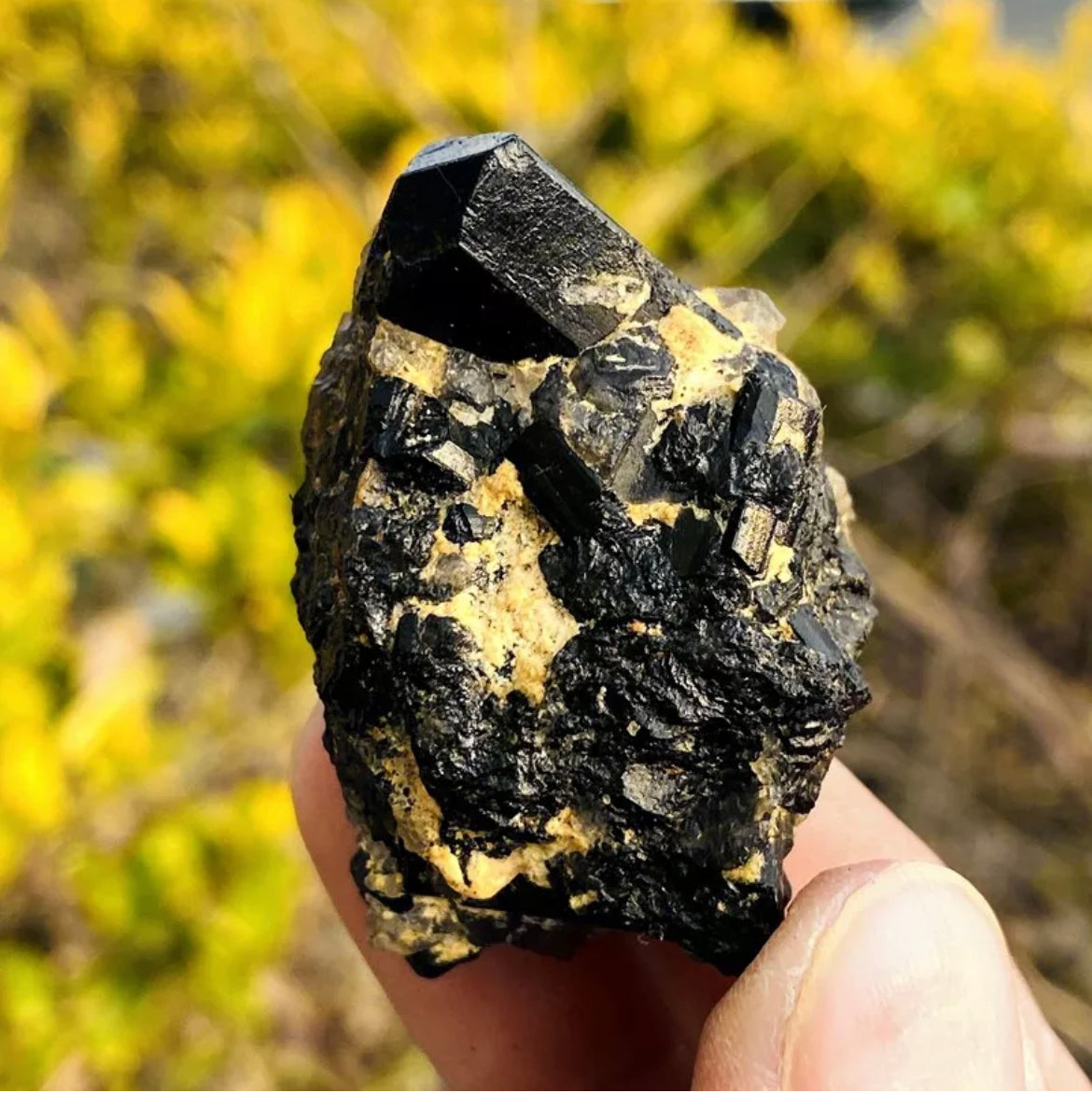 Natural black tourmaline quartz gemstone crystal mineral specimen