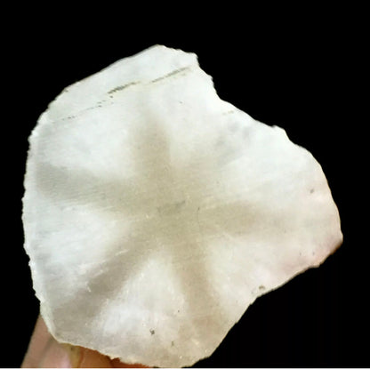 Natural White Quartz Coin Silk Mineral Specimen Hand Cut
