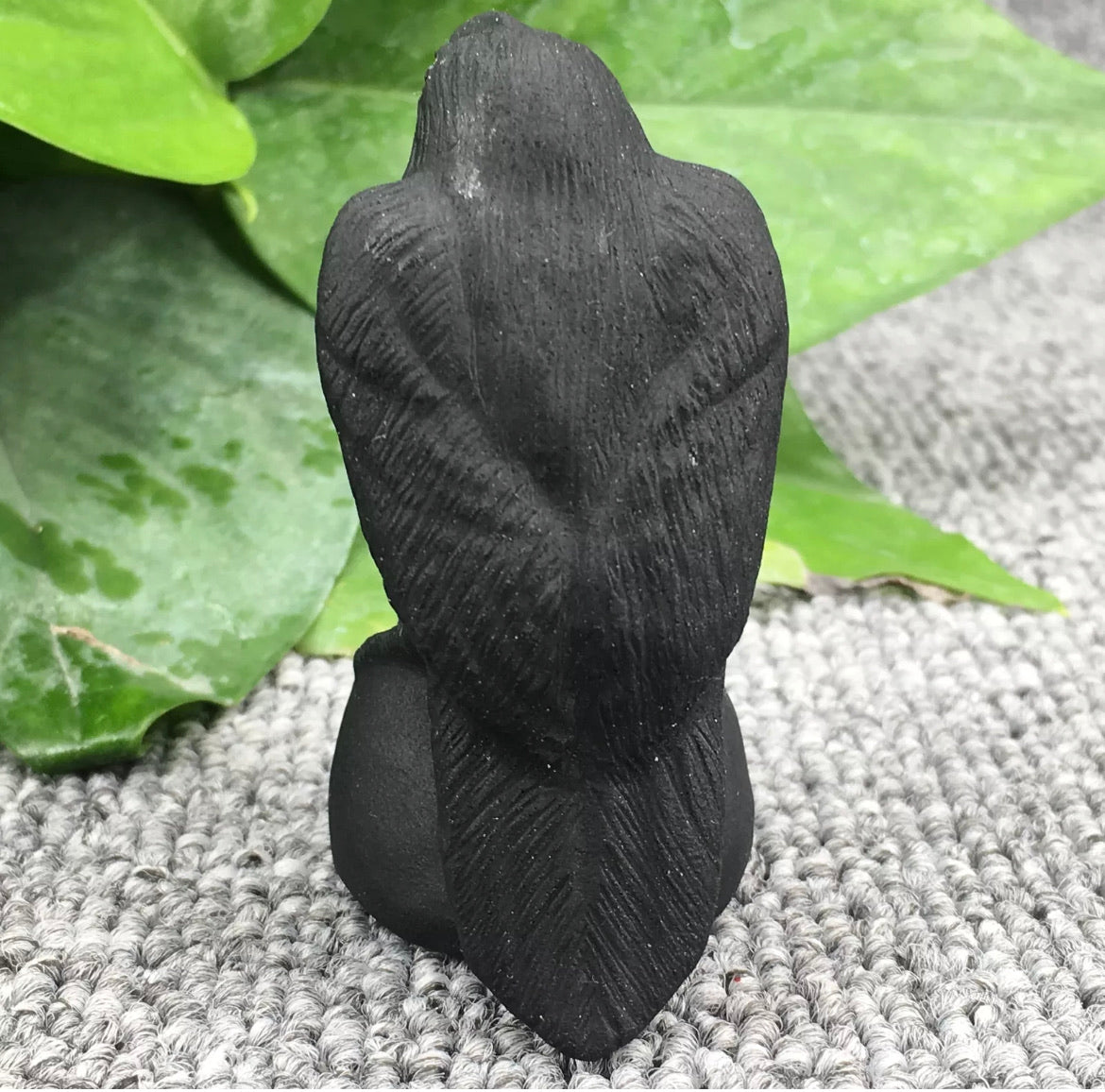 Natural Black Obsidian Raven Crow