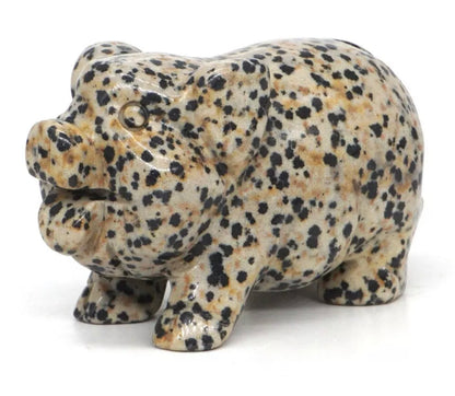 Natural Dalmatian Jasper Pig