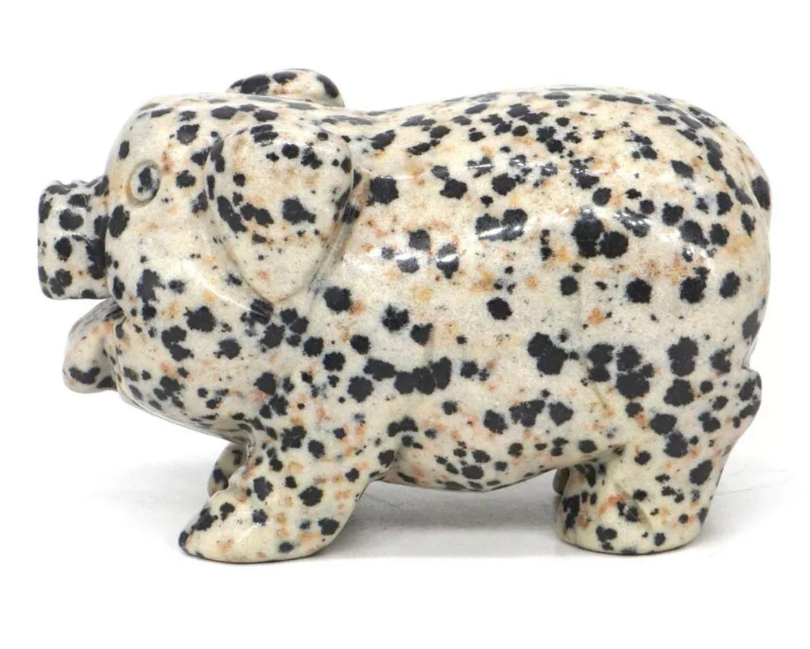 Natural Dalmatian Jasper Pig