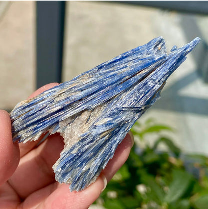 Natural Crystal Kyanite Rough Form