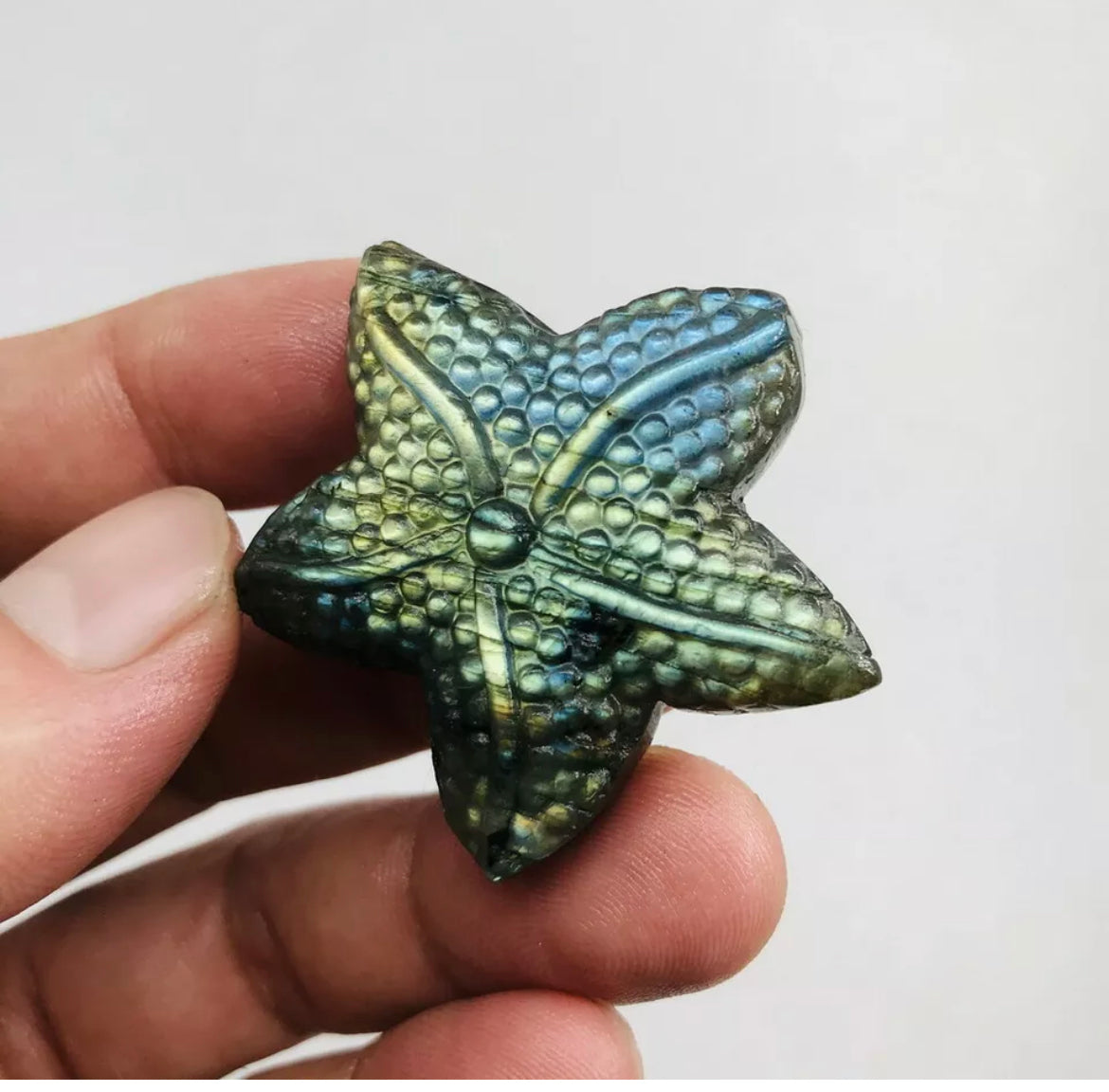 Natural Labradorite Starfish Crystal