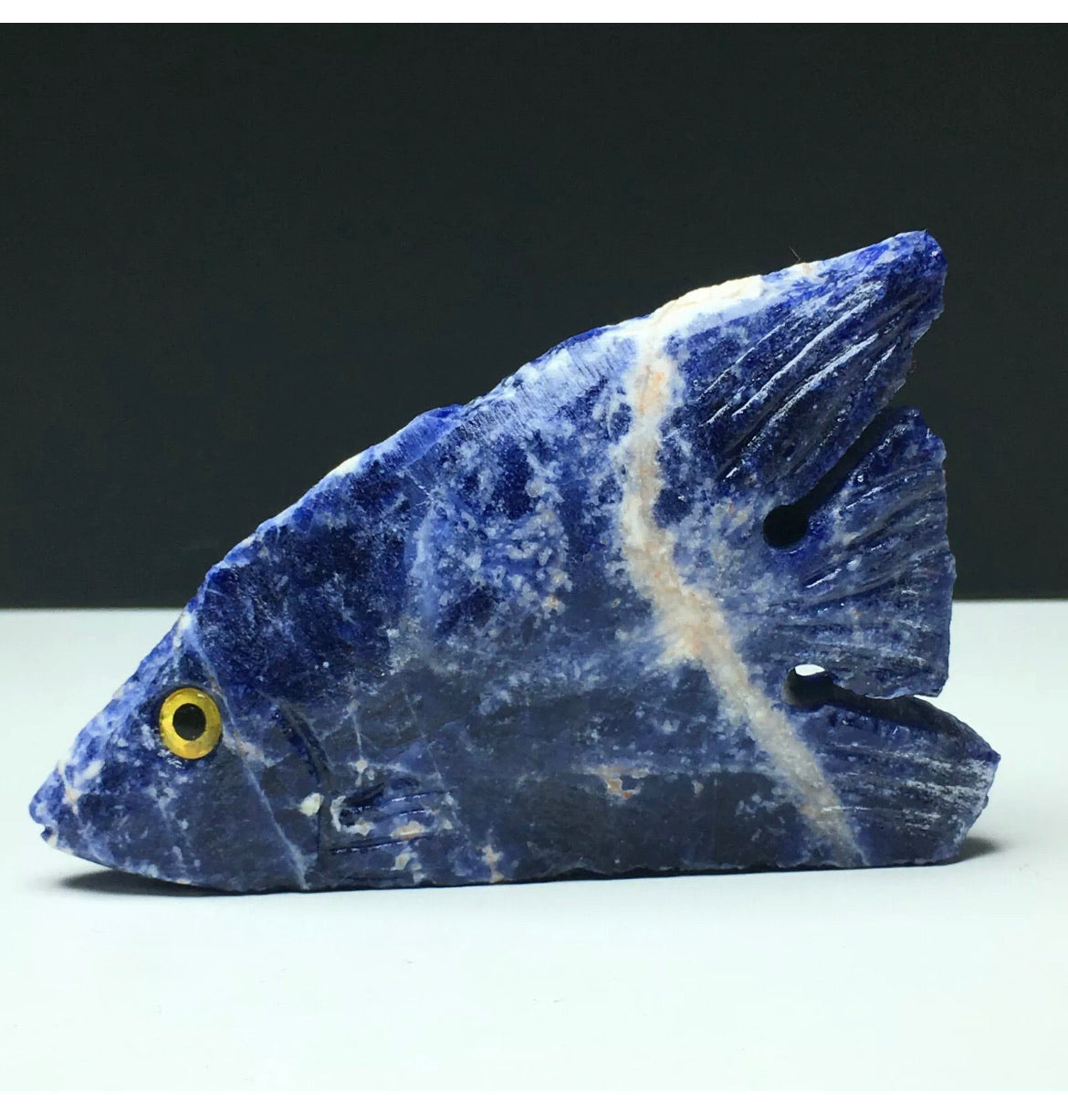 Natural Sodalite gemstone Tropical Fish