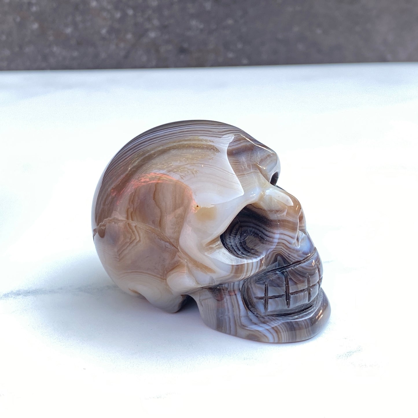 Natural Black Agate Gemstone Skull