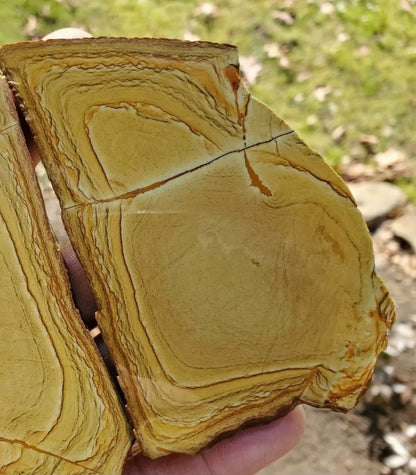 Natural Craig Gulch Yellow Picture Jasper