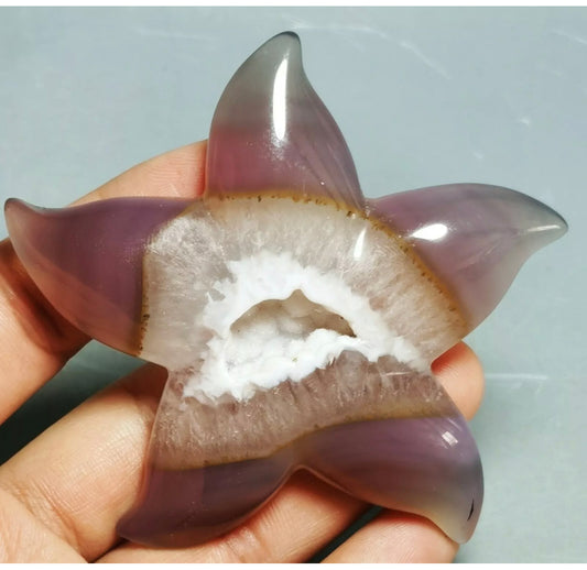 Natural Geode Agate Carved Starfish Crystal