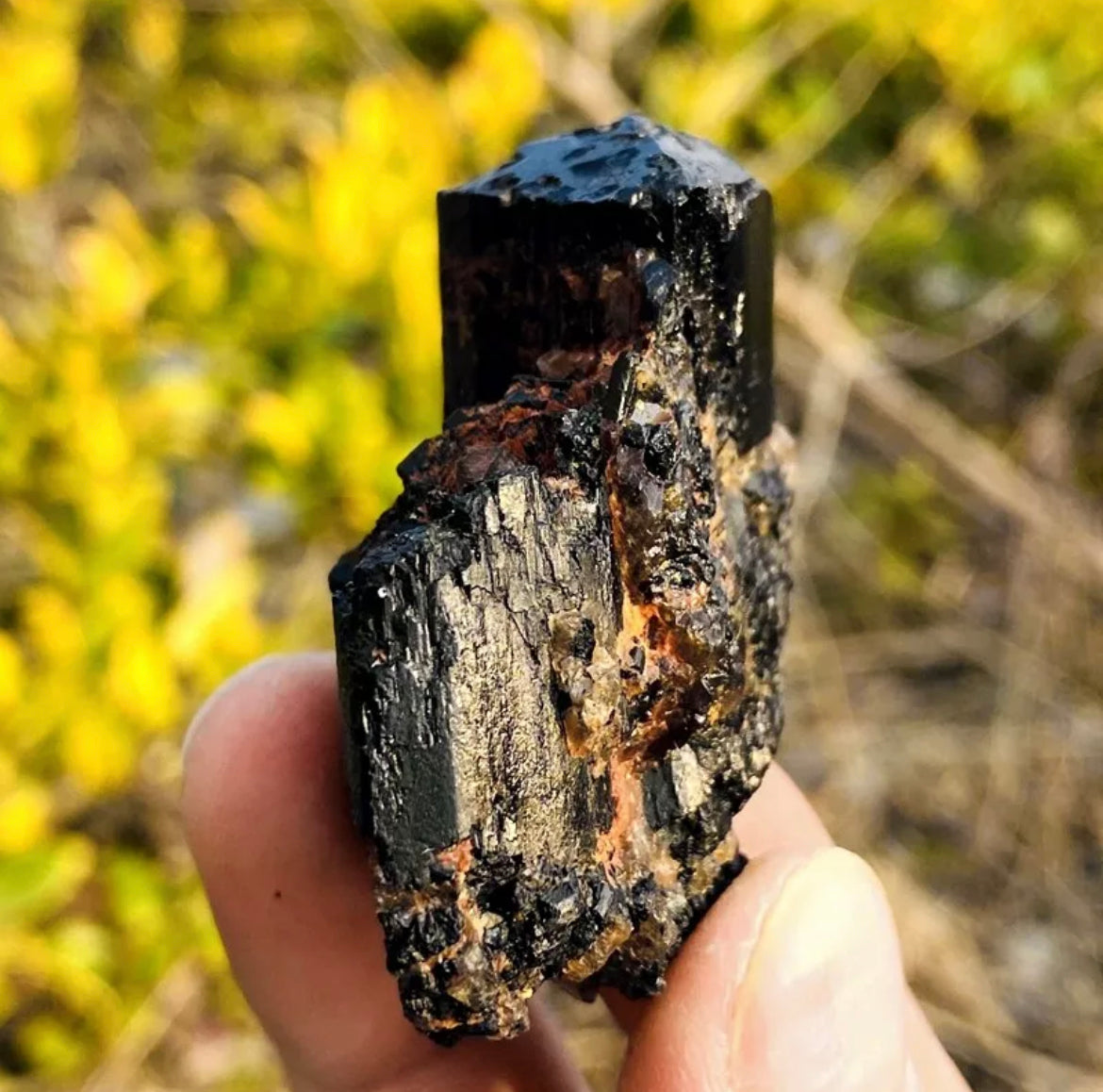 Natural black tourmaline quartz crystal mineral specimen