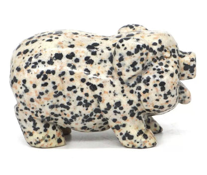 Natural Dalmatian Jasper Pig