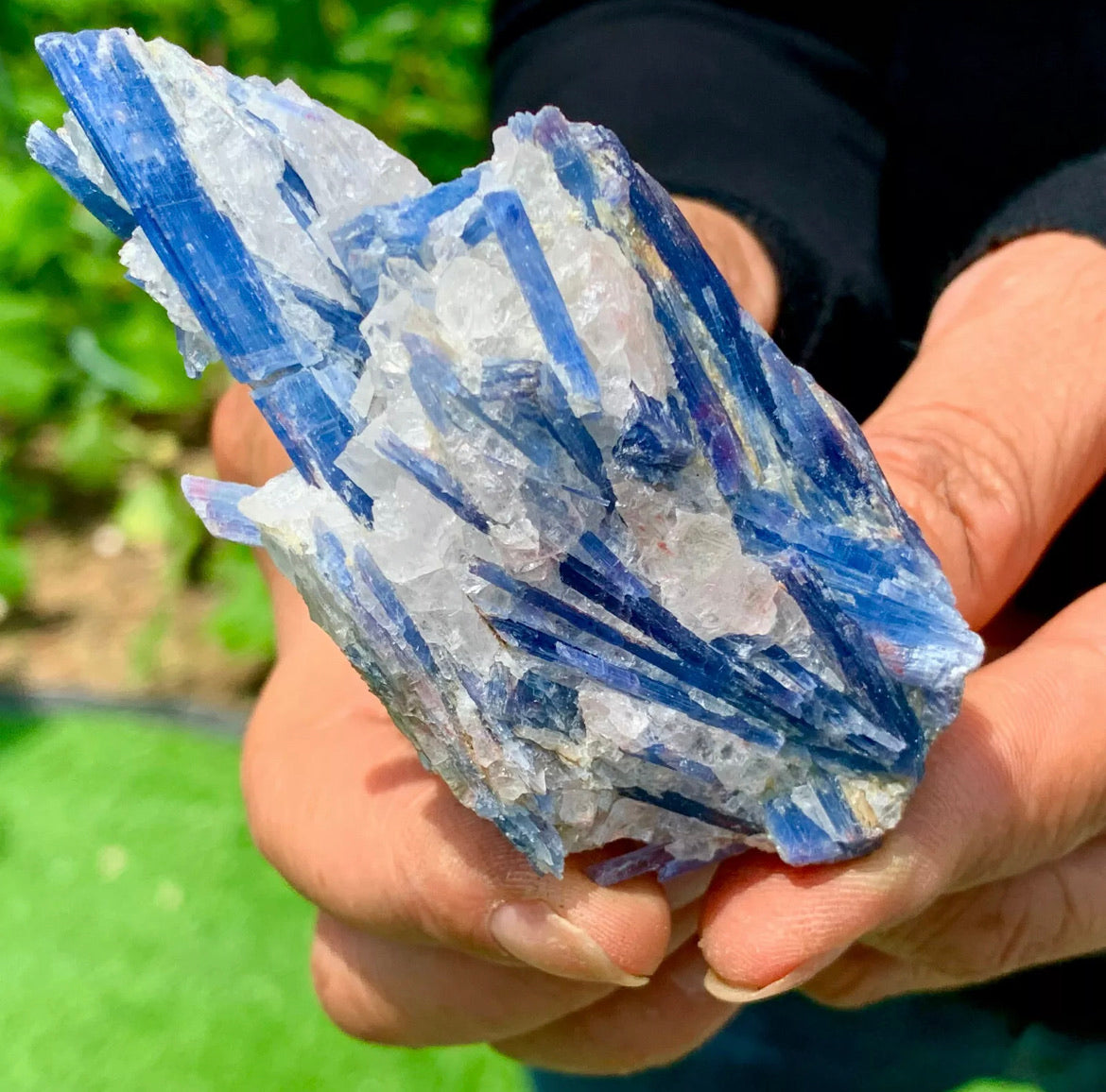 Natural Kyanite in Quartz free form