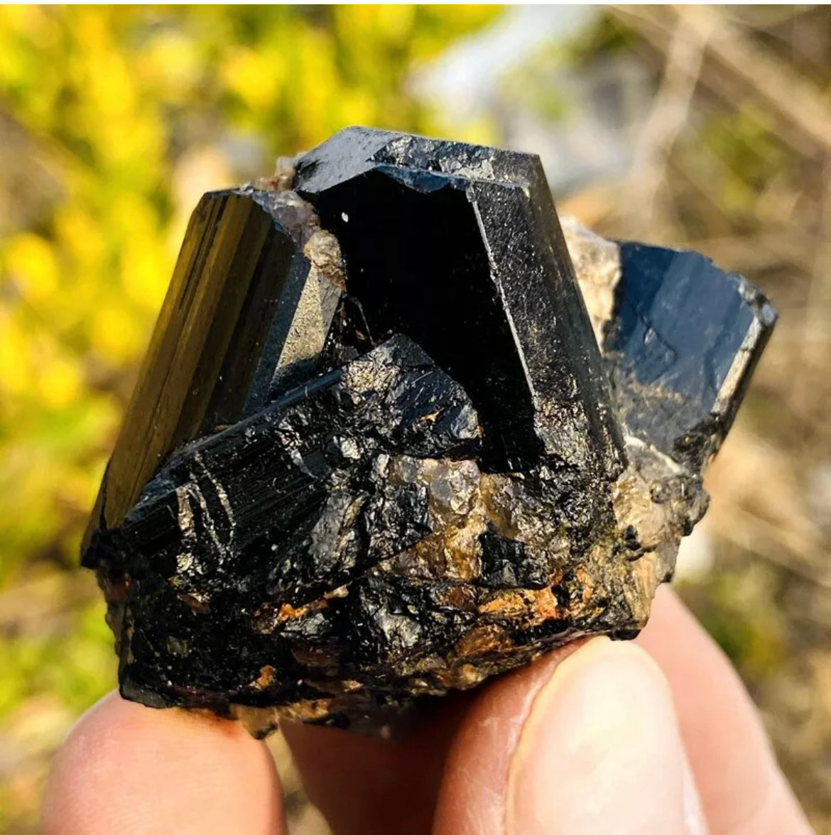 Natural black tourmaline quartz crystal mineral specimen