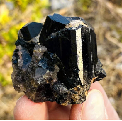 Natural black tourmaline quartz crystal mineral specimen