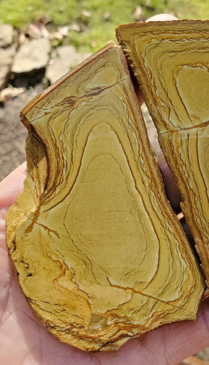 Natural Craig Gulch Yellow Picture Jasper