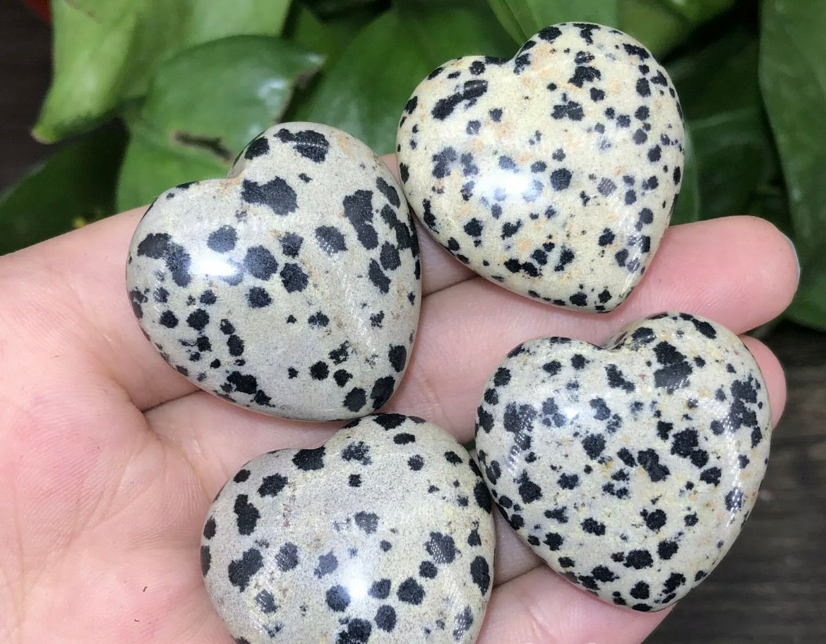 Natural Dalmatian Jasper Hearr