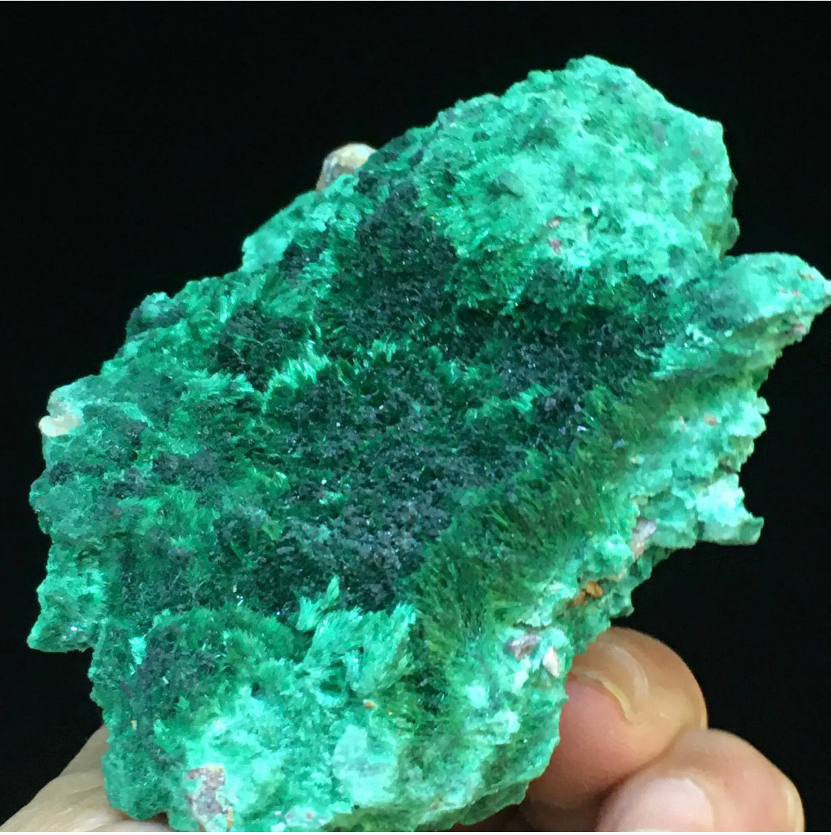 Natural Green Acicular Malachite Crystal Mineral Specimen/ From Congo