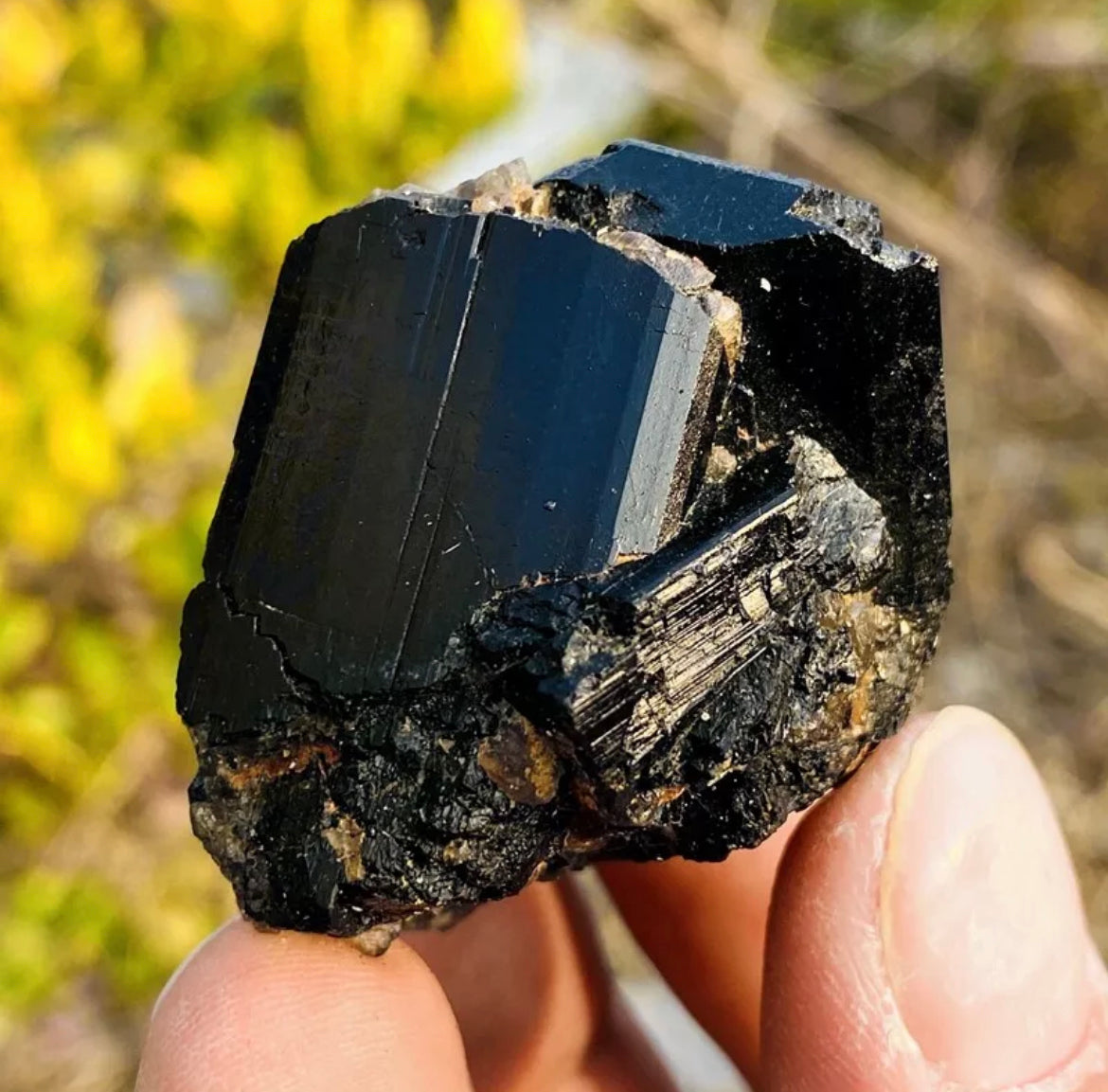 Natural black tourmaline quartz crystal mineral specimen