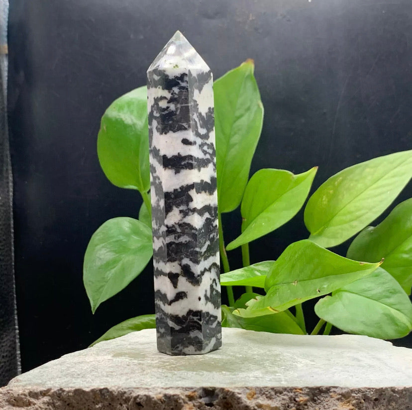 Natural Zebra Stone Rough crystal quartz wand piont obelisk healing