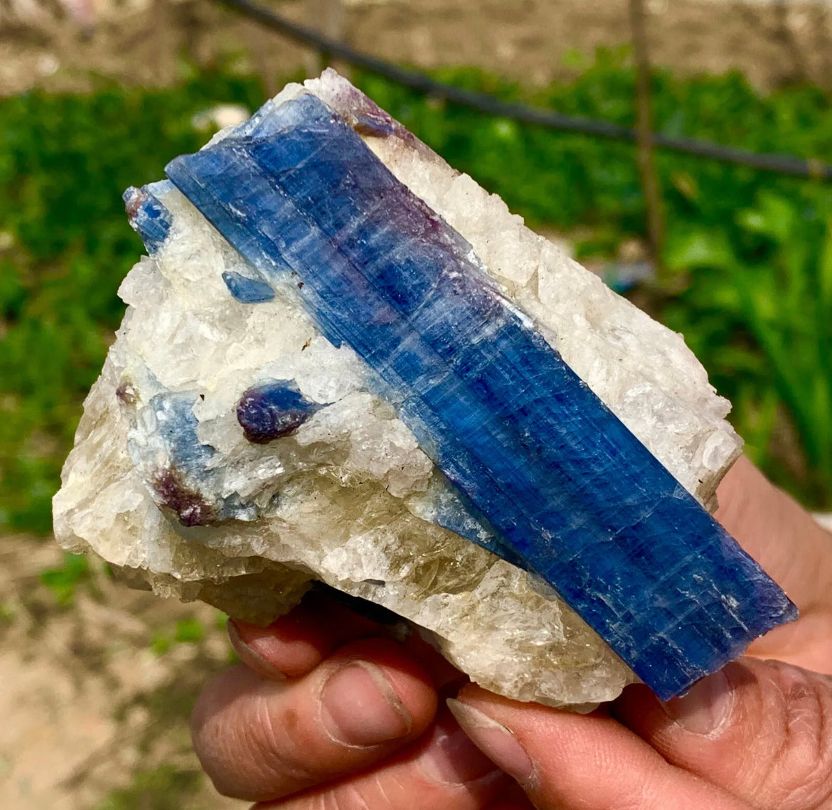 Natural Kyanite in Quartz