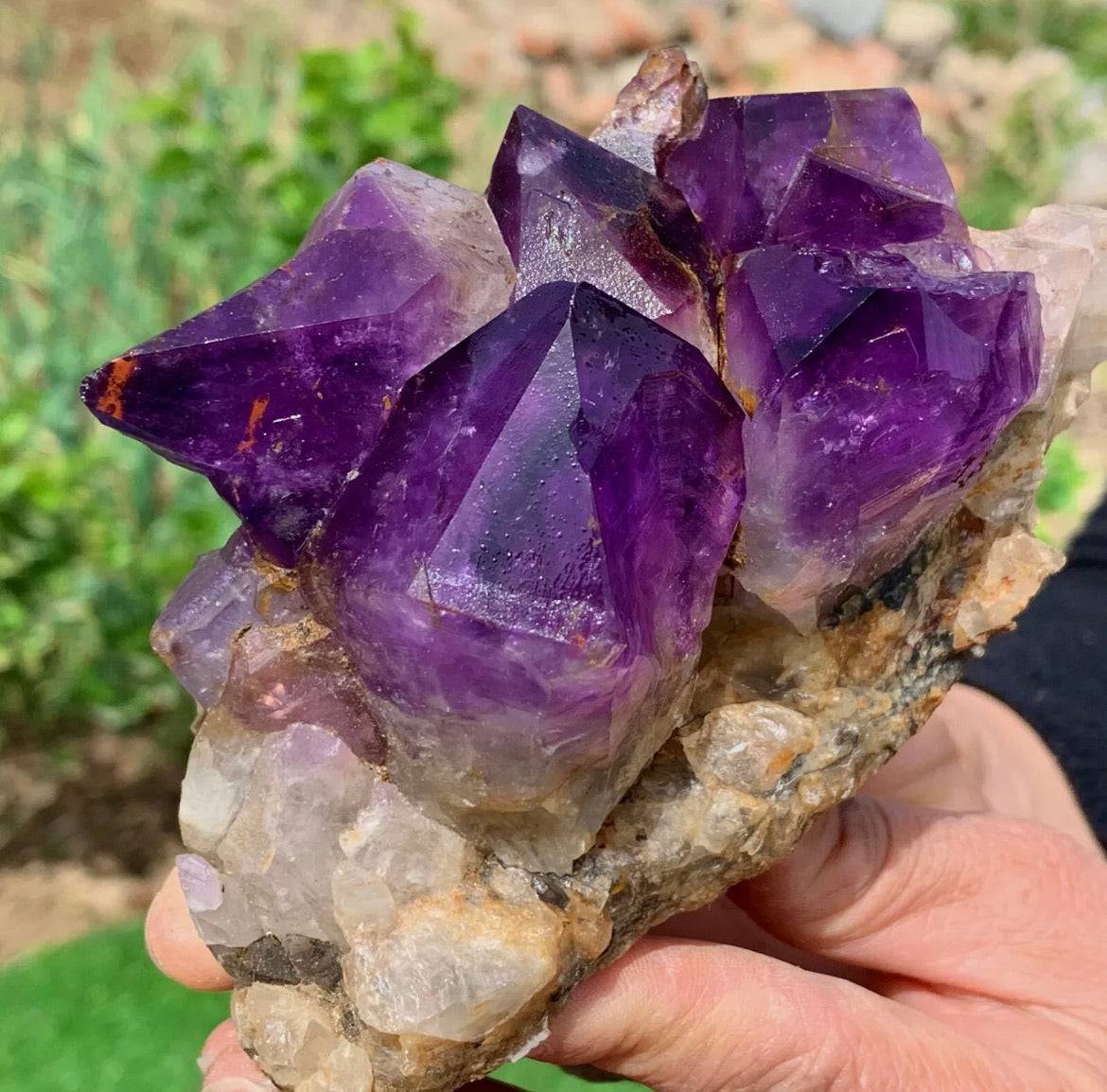 Natural Amethyst gemstone geode cluster crystal specimen