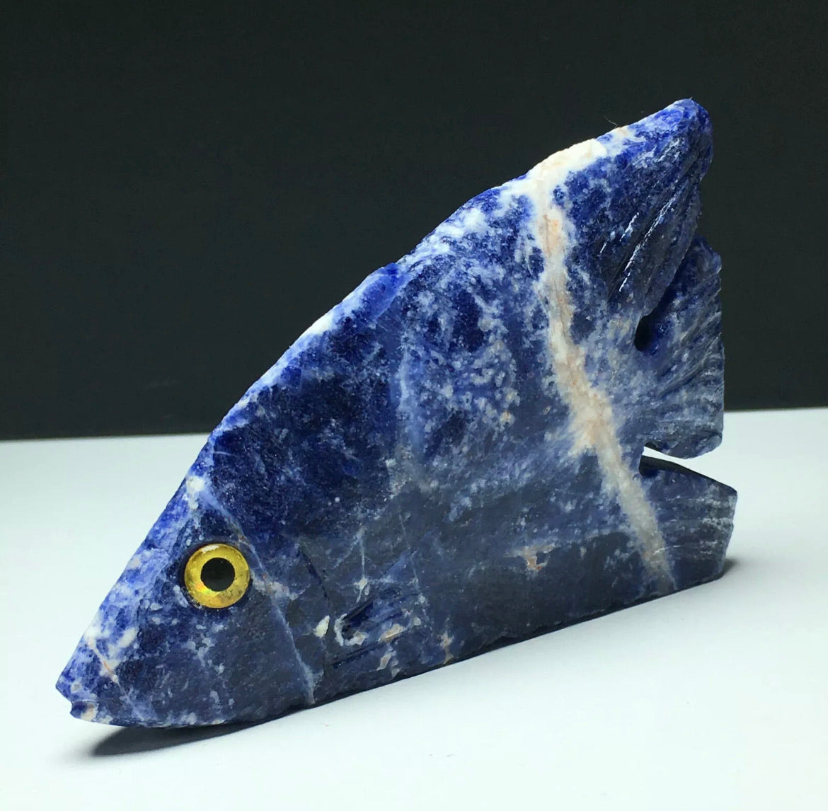 Natural Sodalite gemstone Tropical Fish