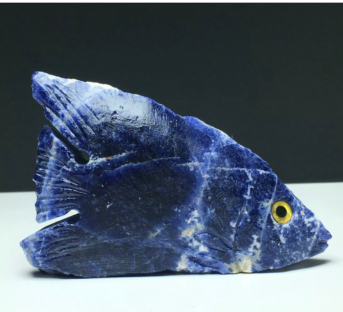 Natural Sodalite gemstone Tropical Fish