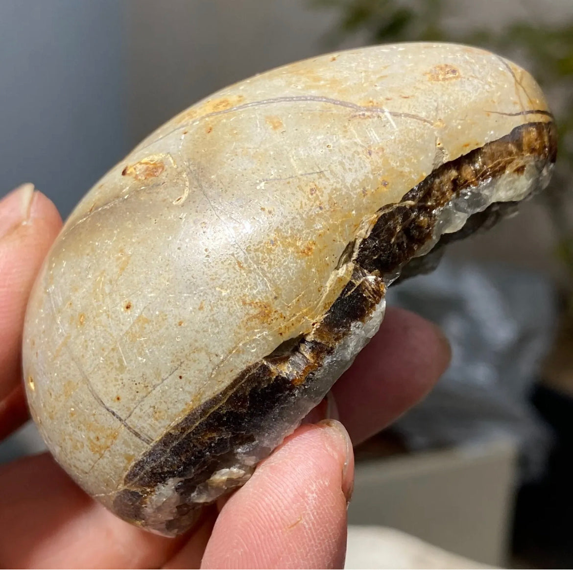 Septarian Geode