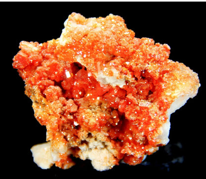 Superb Cherry Vanadinite Crystals on Matrix