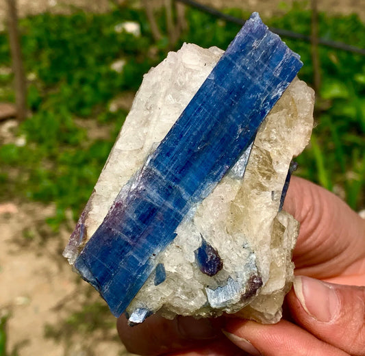 Natural Kyanite in Quartz