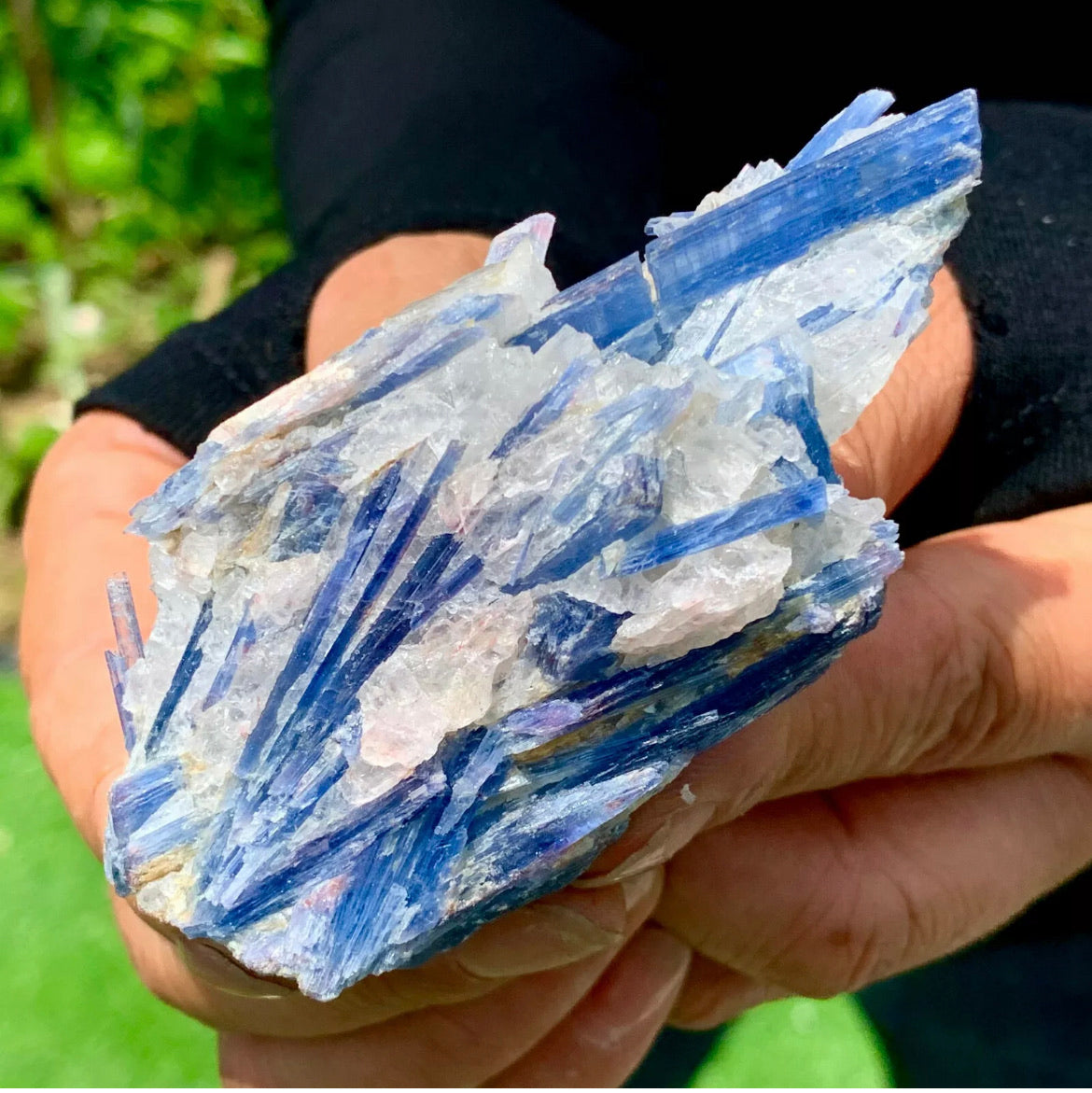 Natural Kyanite in Quartz free form