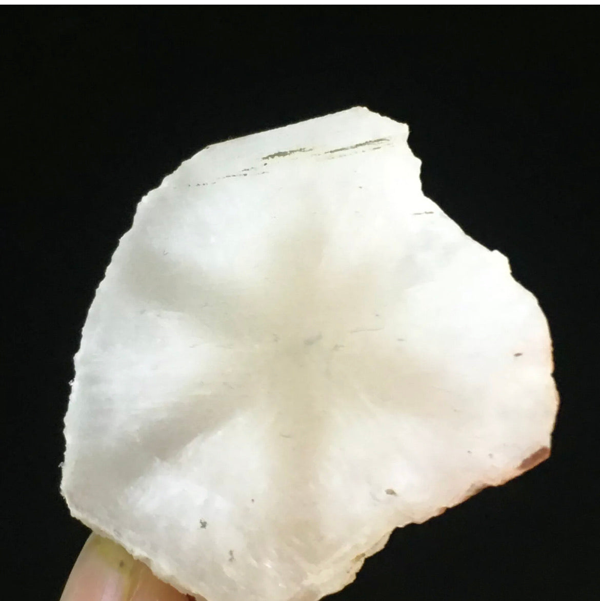Natural White Quartz Coin Silk Mineral Specimen Hand Cut