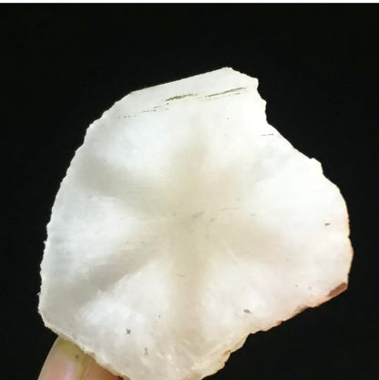 Natural White Quartz Coin Silk Mineral Specimen Hand Cut
